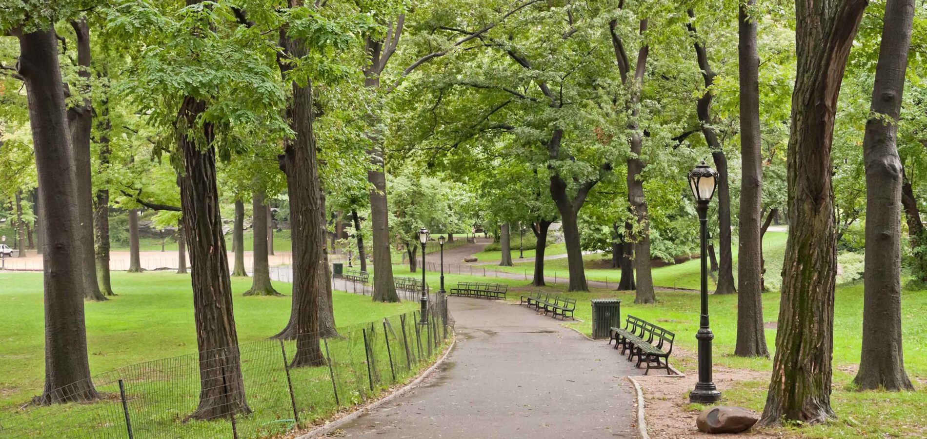 Central Park path